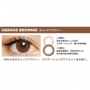 FLANMY Orange Brownie 10片裝